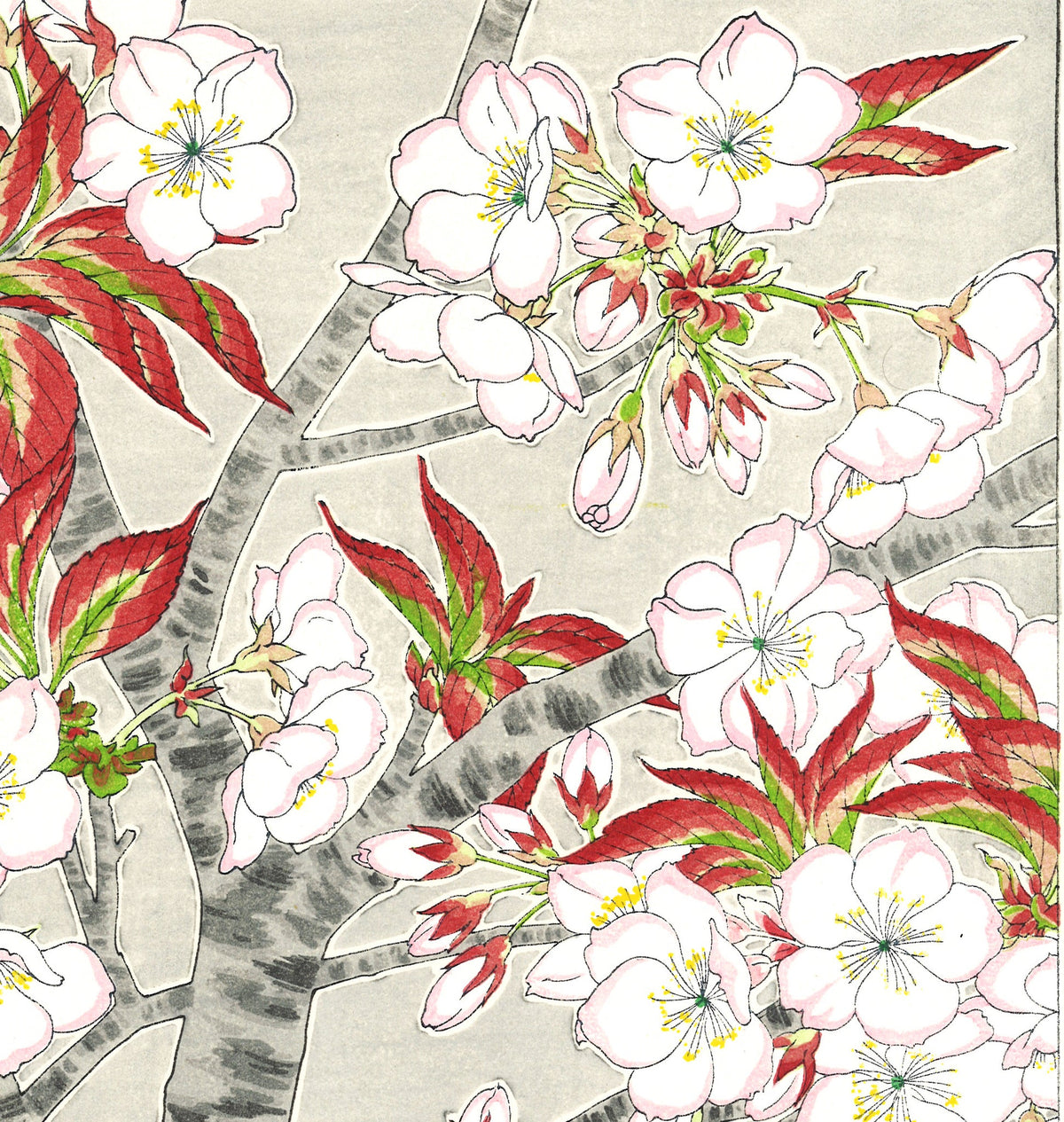 日本江户植物数字填色书PDF (Edo Botanical Coloring Book PDF)