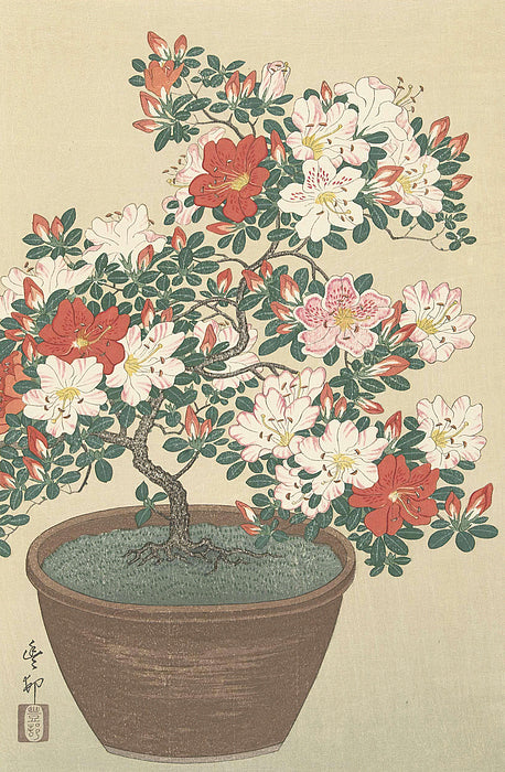 江户植物图鉴数字版 (Edo Botanical Encyclopedia Digital)