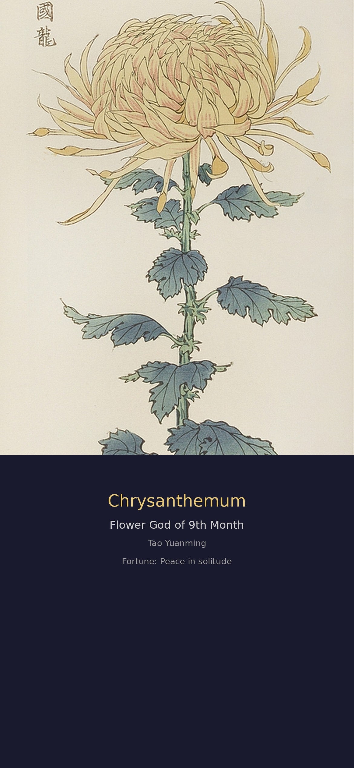 十二花神签 · 数字花神 fortune (12 Flower Gods Fortune Set)