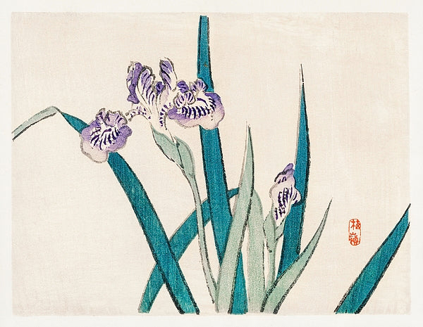 日本江户植物数字填色书PDF (Edo Botanical Coloring Book PDF)