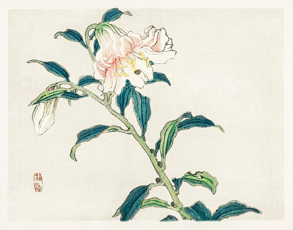 植物图电子手账模板 (Botanical Digital Planner)