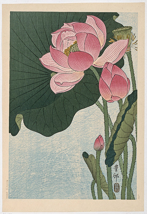 日本江户植物手机壁纸包 (Edo Botanical Phone Wallpapers)