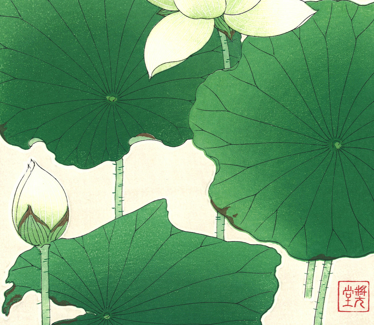 江户植物图鉴数字版 (Edo Botanical Encyclopedia Digital)