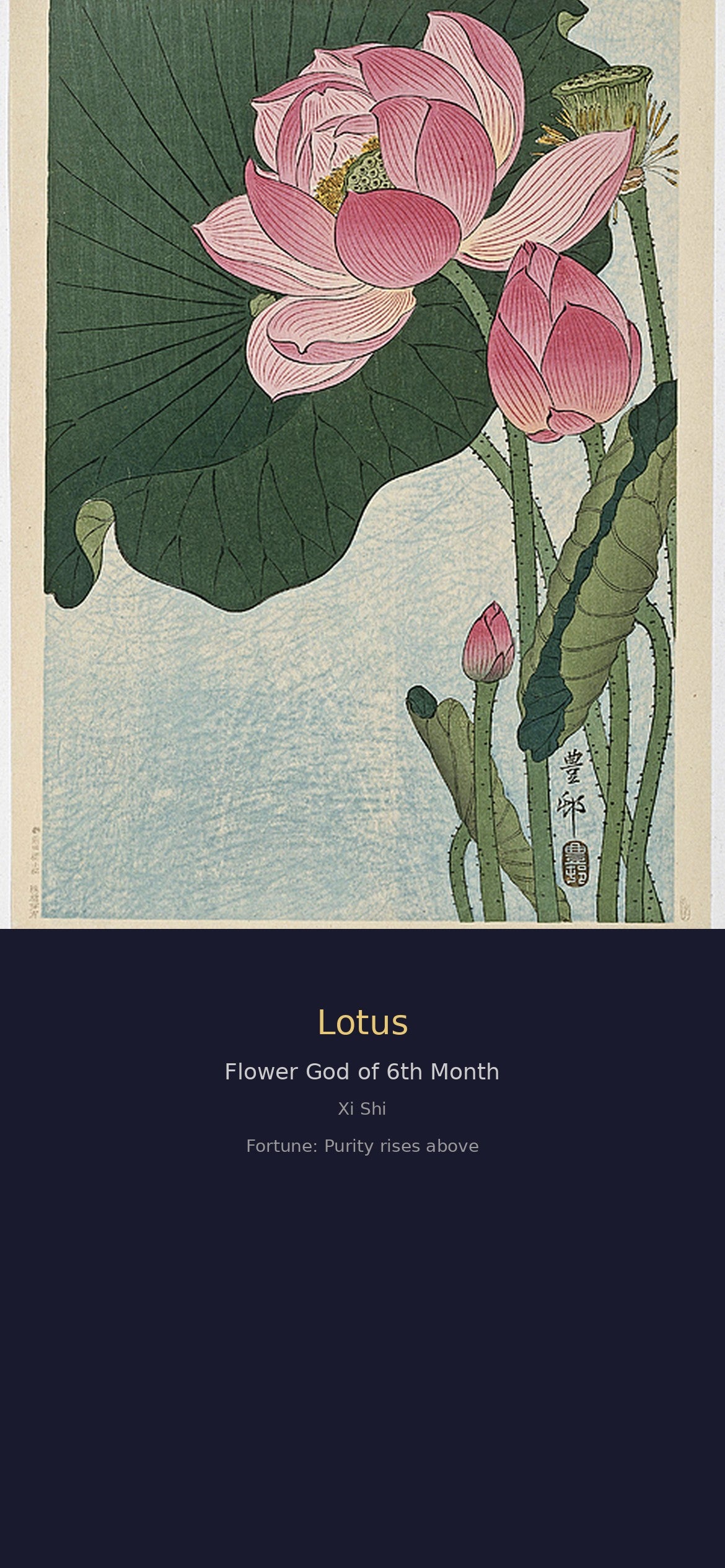 十二花神签 · 数字花神 fortune (12 Flower Gods Fortune Set)