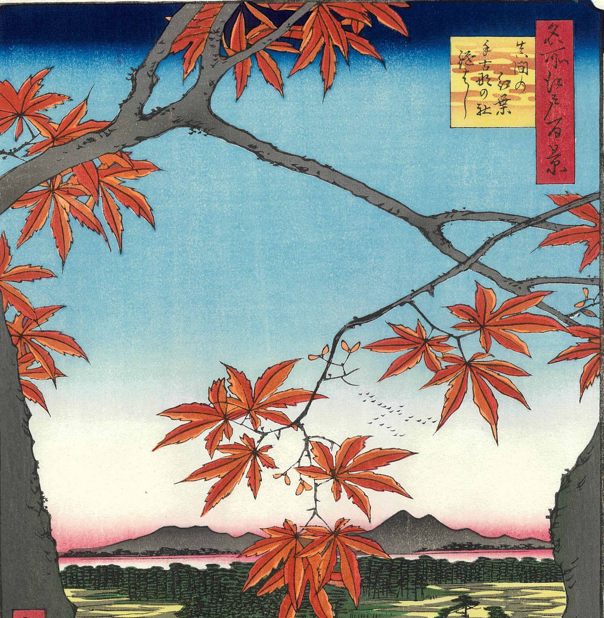 植物图电子手账模板 (Botanical Digital Planner)