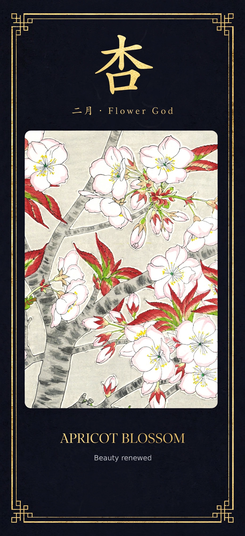 Flower God Oracle Deck · 花神谕卡 (36 Cards)