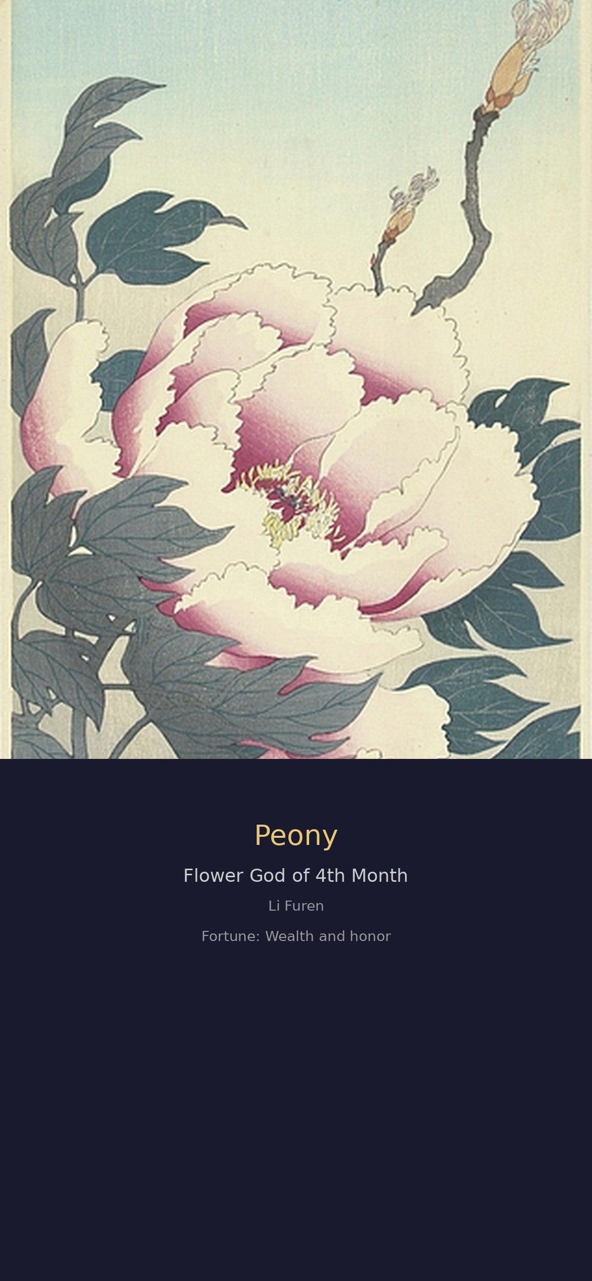 十二花神签 · 数字花神 fortune (12 Flower Gods Fortune Set)