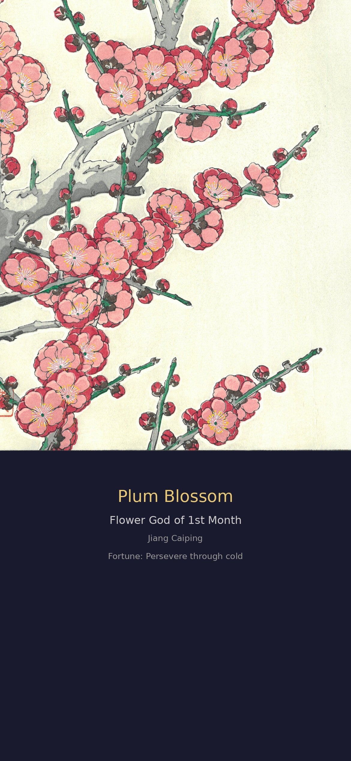十二花神签 · 数字花神 fortune (12 Flower Gods Fortune Set)