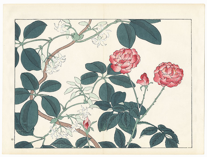 江户植物图鉴数字版 (Edo Botanical Encyclopedia Digital)