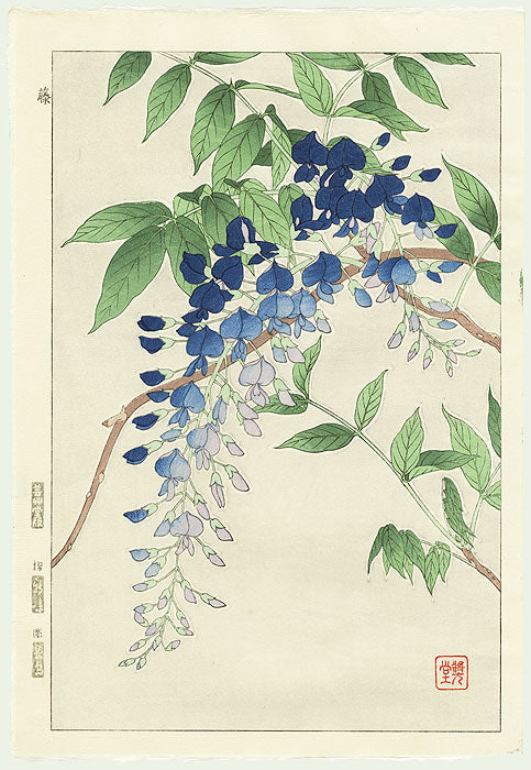 日本江户植物数字填色书PDF (Edo Botanical Coloring Book PDF)